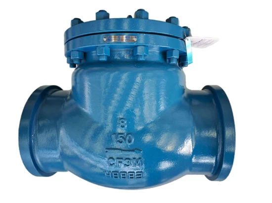 High-Quality Swimming Pool Check Valve for Optimal Flow Control